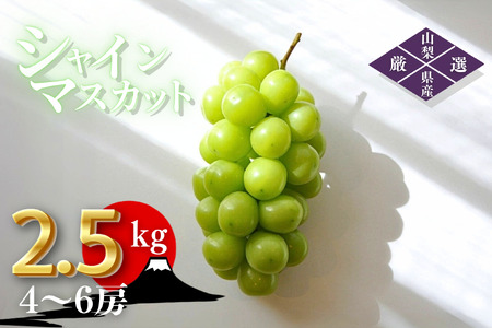 y2026Ns\zJsY@IVC}XJbgm2.5kgni4`6[jt[c卑IRJsYn 209-004-26y OUTTA REACH JAPAN