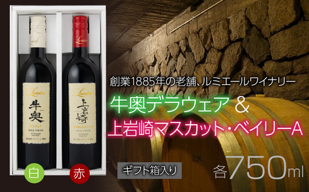 ルミエール 牛奥デラウェア & 上岩崎マスカット・ベイリーA [ギフト箱入] ギフトセット ワインセット 日本ワイン 063-022