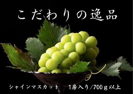y2026Ns\zwʌxwMtg②pɁx__ƌIVC}XJbg700ȏP[ 167-030-26y