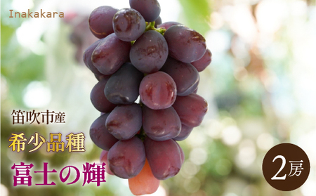 y2026Ns\z@Inakakara 󏭕iuxm̋Pv2[(1.1kg~1.3kg) 192-025