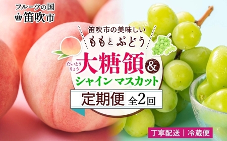 y2026Ns\z֑S2  Gi 1.5kg 哜 VC}XJbg 1[ 600g N[ 177-020-26y