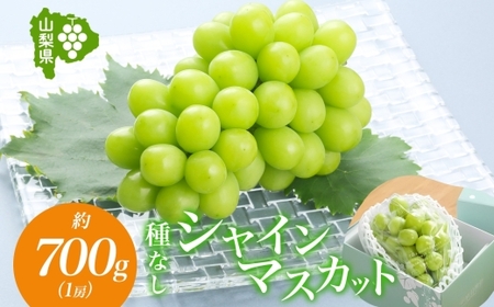 �y2026�N��������s�\��z�R���� �J���s �V���C���}�X�J�b�g 1�[ ��700g 177-6-005