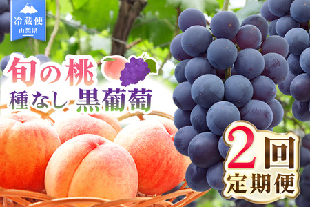 【2026年発送 先行予約】2回定期便 旬のフルーツ定期便（桃1㎏・種無し黒葡萄1房） 180-022-26y