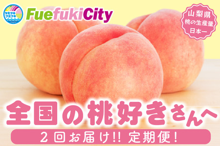 y2026N s\z2 {̃t[cցiPn1sEn1sj180-024-26y