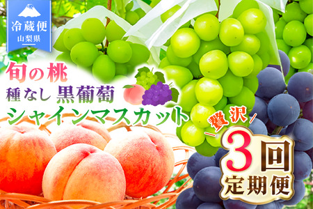 【2026年発送 先行予約】3回定期便 旬のフルーツ定期便（桃1㎏・種無し黒葡萄1房・シャインマスカット1房）180-025-26y