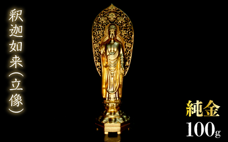 @߉ޔ@ij100g@252-009