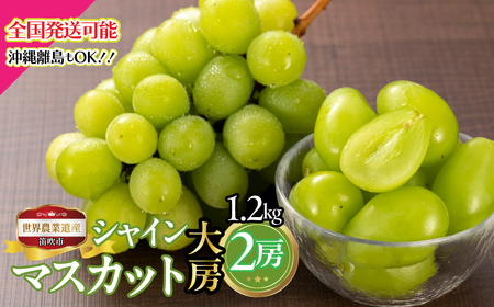 [2026年発送★先行予約]山梨県笛吹市産 シャインマスカットシャインマスカット大房 2房 1.2kg 223-027-26y