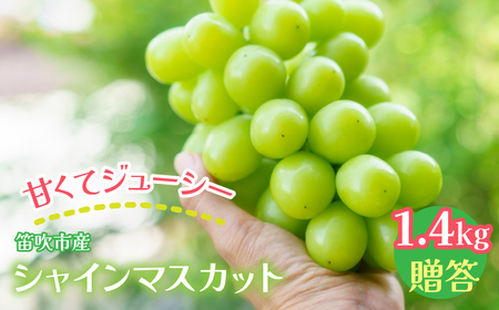 [2026年発送★先行予約]笛吹市産 シャインマスカット1.4kg 贈答 石倉ファーム 241-004-26y