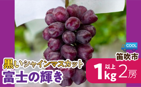 [2026年発送★先行予約][黒いシャインマスカット]と呼ばれる蜂蜜のように甘い「富士の輝き」2房約1kg以上 106-026-26y