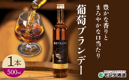 葡萄ブランデー 500ml 018-047 | ふるさと納税 ブランデー 山梨県 笛吹市 酒 アルコール 記念品 お祝い 送料無料