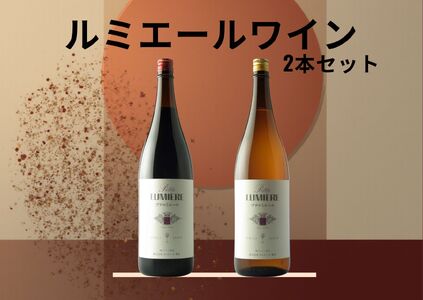 ルミエール プチルミエール赤白一升瓶 2本セット 167-189