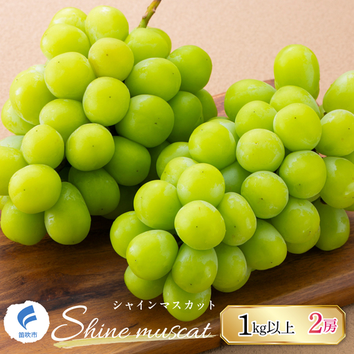 【2026年発送★先行予約】山梨県産シャインマスカット　1kg以上　2房　247-001