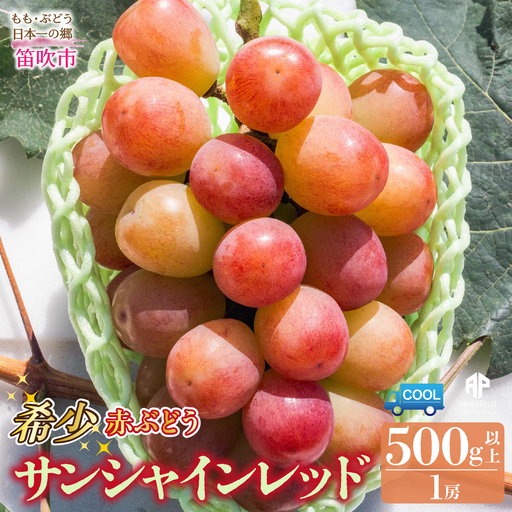 【2026年発送先行予約】笛吹市産　サンシャインレッド　500g以上（1房） 205-014-26y