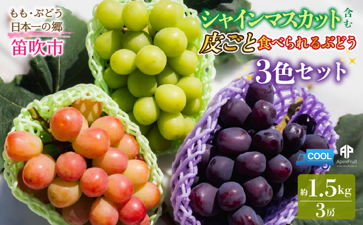 [2026年発送先行予約]笛吹市産 シャインマスカット含む 皮ごと食べられる3色ぶどうセット 約1.5kg 205-019-26y