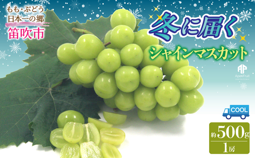 [2026年発送先行予約]笛吹市産 冬に届くシャインマスカット 1房(約500g) 205-020-26y