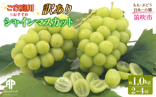 [2026年発送先行予約]笛吹市産 [訳あり]シャインマスカット 約1.0kg(2〜4房) 205-021-26y