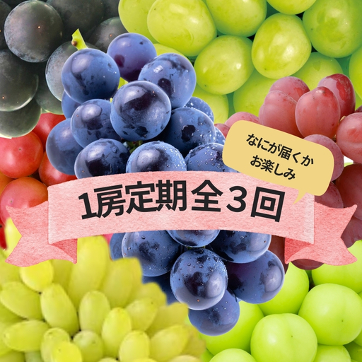 [2026年発送★先行予約] 『何が届くかお楽しみ』ぶどう王国山梨の3種定期便 167-192-26y