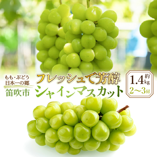 [2026年発送★先行予約]フレッシュで芳醇シャインマスカット2-3房 約1.4kg 016-001-26y 常温便