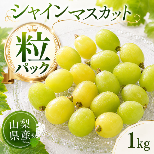 [2026年発送]先行予約 シャインマスカット 粒 1kg 500g×2 ご家庭用 山梨県産 [山梨県笛吹市 産地直送]ぶどう フルーツ 果物 209-010-26y