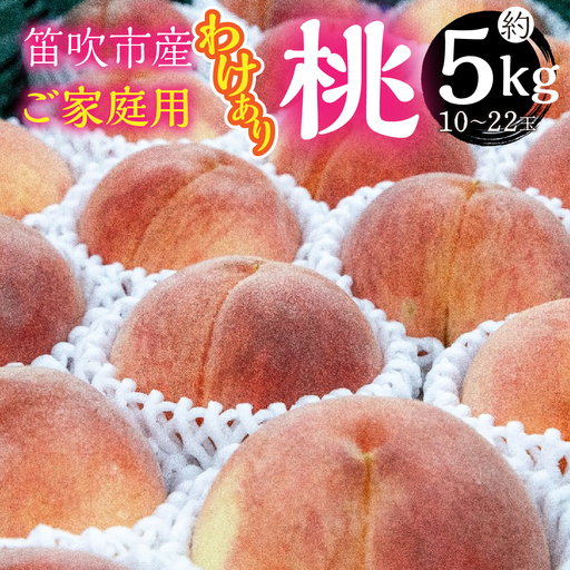 [2026年発送★先行予約]山梨県笛吹市産 ご家庭用(わけあり)桃 約5kg(10玉〜22玉) 263-001-26y