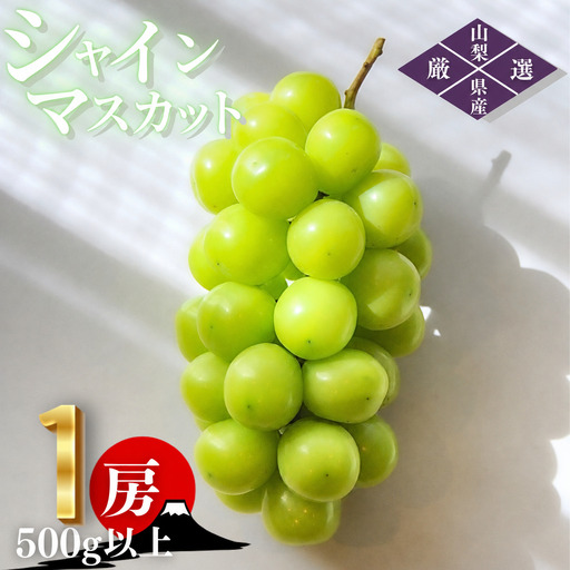 [2026年発送]先行予約 シャインマスカット 1房 500g以上 山梨県産 [山梨県笛吹市 産地直送]ぶどう フルーツ 果物