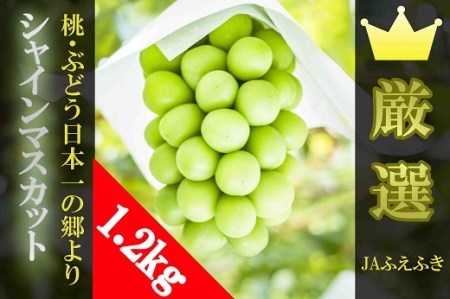 y2026Ns\z JAӂӂ VC}XJbg 2[i1.2kgj 010-00826y