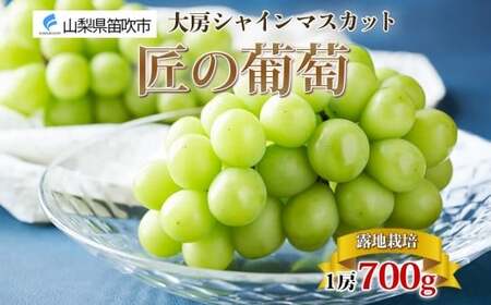 [2024年先行予約]露地山梨県産 シャインマスカット 1房約700g程度 177-012 