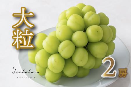 y2026Ns\zInakakara@{̑嗱VC}XJbg[i1.4kgj 192-011