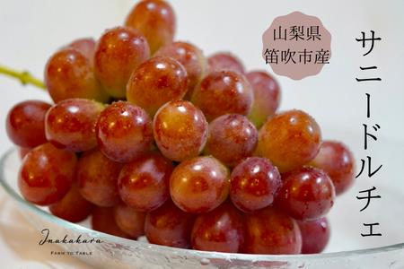 y2026Ns\z Inakakara@󏭂ȑ嗱Tj[h`F[i550gȏj 192-004