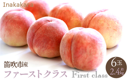 y2026Ns\zyJsYzzInakakara {̓ t@[XgNX 6(2.4kg) 192-010