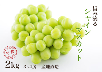 y2026Ns\z₩ɓHVC}XJbg 2.0kgȏ 065-021-26y