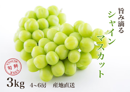 y2026Ns\z₩ɓHVC}XJbg 3.0kgȏ 065-022-26y