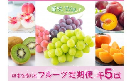 フルーツ定期便≪彩≫全5回　旬の果実をお届け1-2名様 065-006