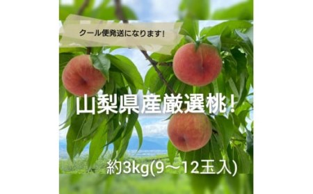 [25年発送先行予約] 産地厳選日本一笛吹市の桃3kg以上(9玉〜12玉) 106-009