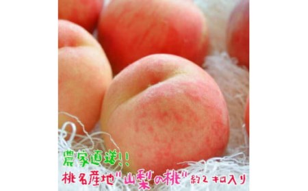 �y2026�N��������s�\��z�����̖��Y�n�h�R���h�̓� ��2kg�i5�`8�ʓ���j 109-009-26y