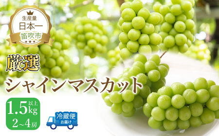 【2026年発送★先行予約】厳選シャインマスカット　1.5kg以上 2～4房 111-014-26y