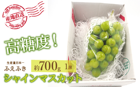 [25年発送先行予約]厳選!山梨県笛吹市産 シャインマスカット 約700g(1房) 156-005