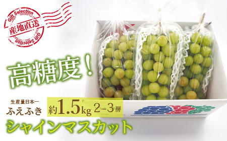 25Ns\񁄌IIRJsY VC}XJbg 1.5kg(2`3[) 156-006