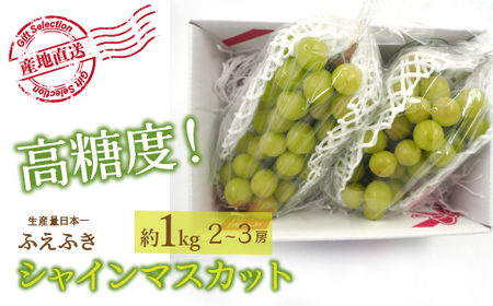 25Ns\񁄌II RJsYVC}XJbg 1.0kg(2`3[) 156-009