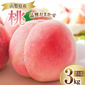 ＜25年発送先行予約＞笛吹市産　厳選！桃［3kg］（7～12玉入）フルーツ大国！山梨県笛吹市より産地直送 209-002