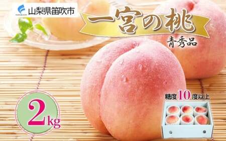 y2026Ns\z Gi 2kgO x10ȏてN[֔z 177-011-26y