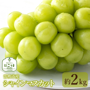 ＜25年発送先行予約＞笛吹市産 シャインマスカッ ト3-4房 約2.0kg 097-004