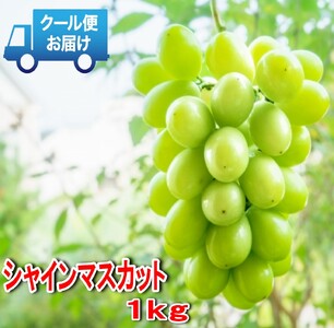 y2026Ns\zy2026Ns\zS̃N[֔@nɎYn@VC}XJbg 1kg (2[) 179-001