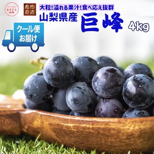 �y2026�N��������s�\��z�N�[���֔����@���� 4kg (6�`7�[)  179-011-26y