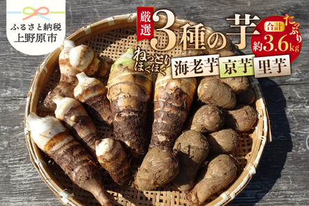 ◆◆2024年度収穫分先行予約◆◆山梨県上野原市産 厳選3種の芋(里芋・京芋・海老芋)セット 各約1.2kg×3種