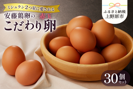 [山梨県産 卵]ミシュランも選ぶ高級卵セット(赤玉 30個)