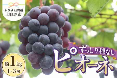 �_2026�N��s�\��^ �y�R�����Y�z�Ԃǂ���1kg�i��Ȃ��s�I�[�l�j���� �Ԃǂ� �t���[�c �ʕ� ��������