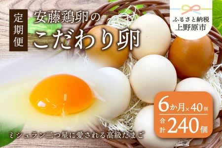 【6ヶ月お届け！】安藤鶏卵のこだわり卵 40個