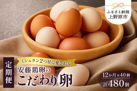【12ヶ月お届け！】安藤鶏卵のこだわり卵 40個 美味しい卵 高級卵 濃厚鶏卵 生卵 赤玉卵 ピンク玉卵