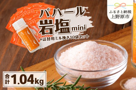 パハール岩塩mini+詰替用ミル挽粉末100g×10袋